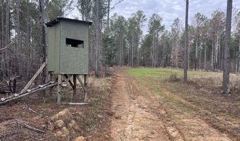 Highway 9N, Banner, MS 38913