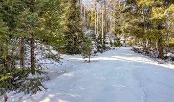 45 And 46 Sacramento Dr, Angel Fire, NM 87710