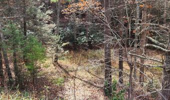 290 Angels Pass Dr Lot 1, Bastian, VA 24314