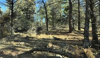 Bunting Drive, Bonanza, OR 97623