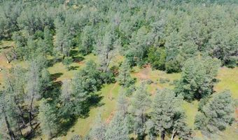 Buffalo Drive, Anderson, CA 96007