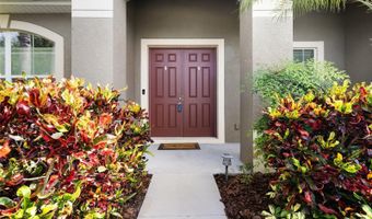 317 ROYAL BONNET Dr, Apollo Beach, FL 33572