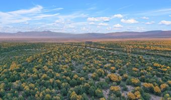 S Carson Road 39 Acres, Carson, NM 87517