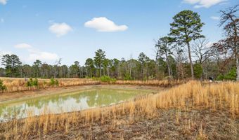 868 County Road 2920, Alba, TX 75410