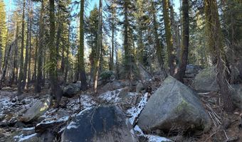 550 Cabbage Patch Log Rd, South Lake Tahoe, CA 95223