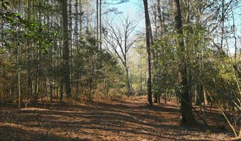 707 Mt Ebal Rd, Batesburg, SC 29006