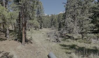Calle de los Indios lot 58, Angel Fire, NM 87710