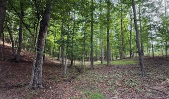 Lot 5 Purvis Road, Baldwin, GA 30511