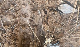 TBD CR 4507, De Kalb, TX 75559