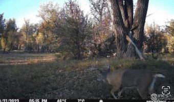 0 County Road 170, Agate, CO 80101
