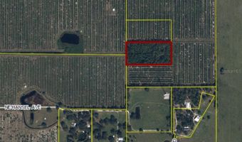 NE HANSEL AVENUE, Arcadia, FL 34266