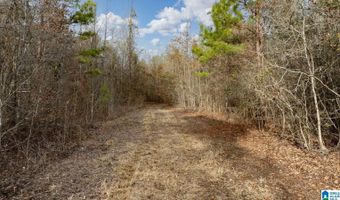 BRUSH CREEK DRIVE lot 0, Akron, AL 35441