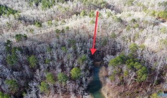 Lot 36 Stoney Point Landing, Double Springs, AL 35553