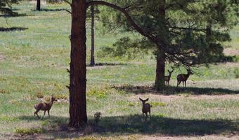 28111 County Rd 41.4, Aguilar, CO 81020