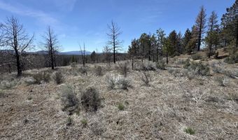 31763 Godowa Springs Rd, Beatty, OR 97621