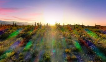 13725 N San Pedro River Rd 2, Benson, AZ 85602