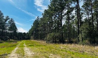 5-6 Laird Lane FM 357, Apple Springs, TX 75926