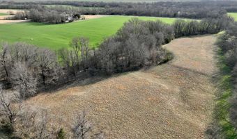 0001 CR-290, Asbury, MO 64832