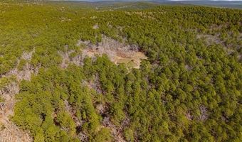 386 NE A, Antlers, OK 74523