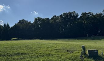 Back Nine Dr. lot 31 & 32, Baneberry, TN 37890