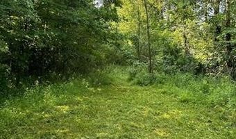 Birch Run Rd, Arbela, MI 48746