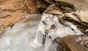 1235 Long Branch-Land, Beattyville, KY 41311