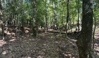 Lot 3a Elberton Highway, Lincolnton, GA 30817