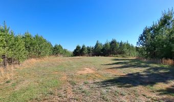 Old Courthouse Road, Appomattox, VA 24522