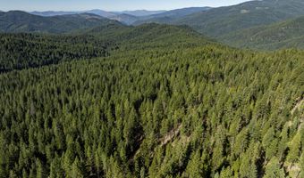 Hungry Ridge, Ashland, OR 97520
