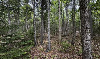 Hadley Point Road lot 0, Bar Harbor, ME 04609