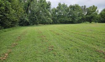 Lot 1 E Prairie Lane, Ash Grove, MO 65604