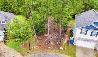 794 CAROLINA ASTER Dr, Blythewood, SC 29016