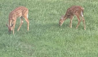 2814 Shopes Creek Rd, Ashland, KY 41102