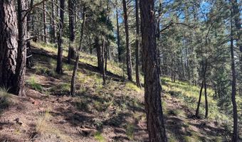 141 Afv N Back Basin Rd, Angel Fire, NM 87710