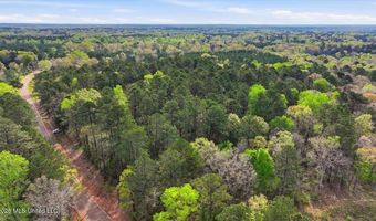 Harrisville Braxton Road, Braxton, MS 39044