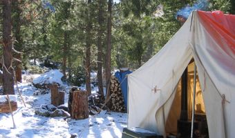122 Black Hollow Rd, Bellvue, CO 80512