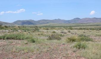 Tract 4 Sierra La Rana, Alpine, TX 79830