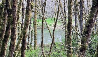 Northrup Creek Rd, Birkenfeld, OR 97016