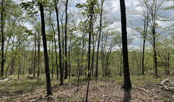 State Hwy N Tract G, Ava, MO 65608