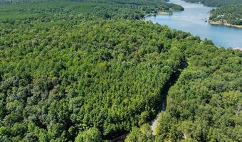 000 McCoy Pointe Dr, Arley, AL 35541