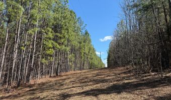 MOUNTAIN CUT RD lot C, Appomattox, VA 24522
