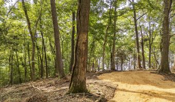 NELLS KNOB Cv, Bath Springs, TN 38311