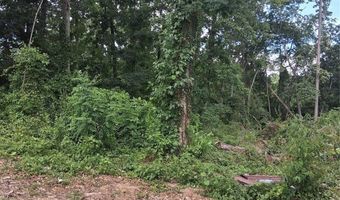 25 Oak Hill Dr 1, Asheville, NC 28806