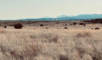 90 B Volcano Trl, Ash Fork, AZ 86320