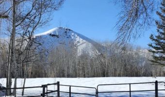 102 Polo Ln, Bellevue, ID 83313