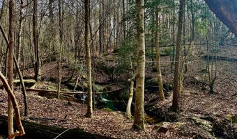 9035 New Sandy Hill Church Rd, Bailey, NC 27807