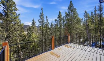 410 N Aspen St, Alma, CO 80420