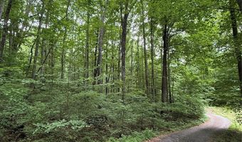 9999 Countryside Est, Barnardsville, NC 28709