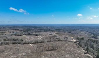 919 County Road 6628, Banks, AL 36005