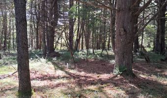 0 COUNTY ROUTE 41, Afton, NY 13730